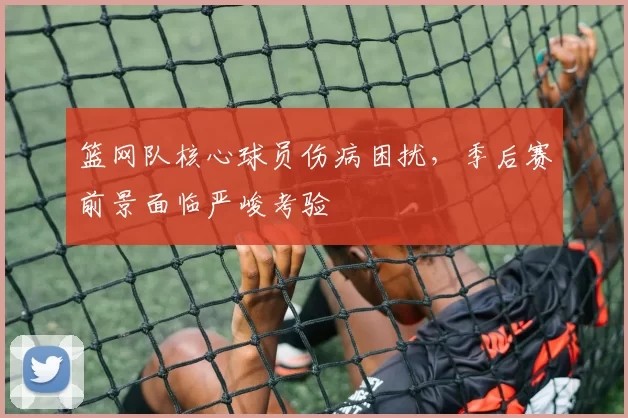 篮网队核心球员伤病困扰，季后赛前景面临严峻考验
