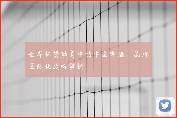 世界杯赞助商中的中国啤酒：品牌国际化战略解析