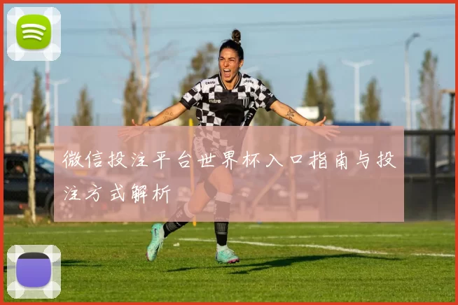微信投注平台世界杯入口指南与投注方式解析