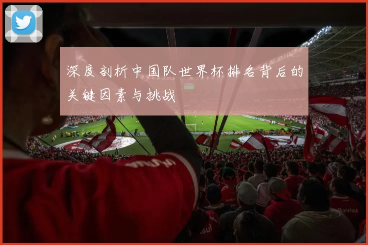 深度剖析中国队世界杯排名背后的关键因素与挑战