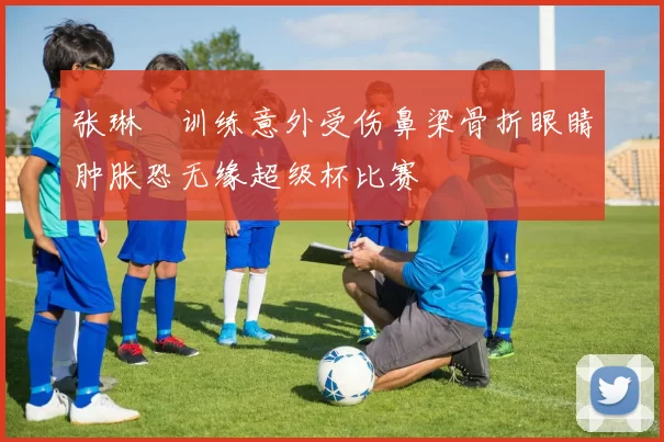 张琳芃训练意外受伤鼻梁骨折眼睛肿胀恐无缘超级杯比赛