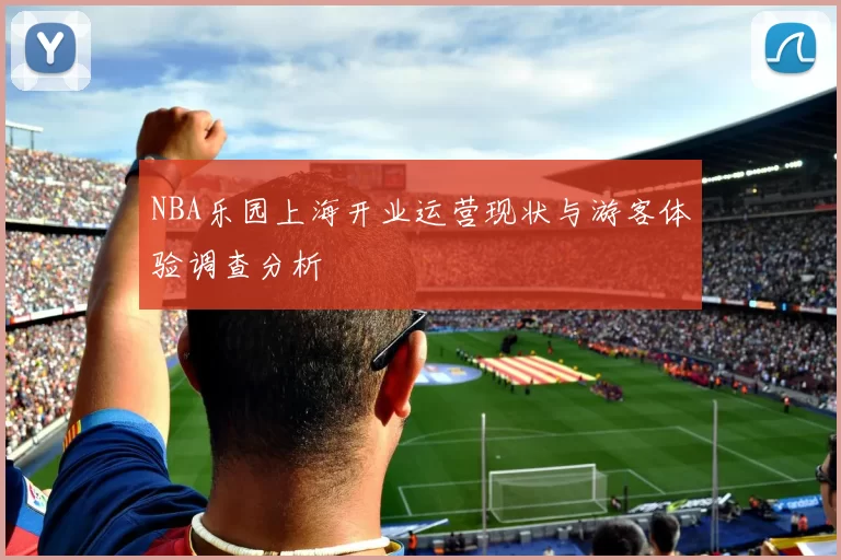 NBA乐园上海开业运营现状与游客体验调查分析