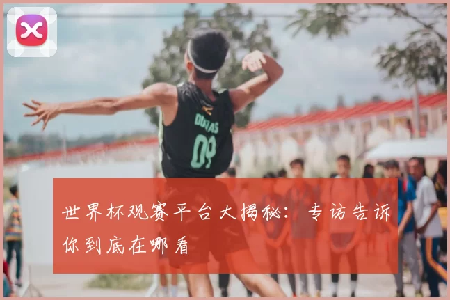 世界杯观赛平台大揭秘：专访告诉你到底在哪看
