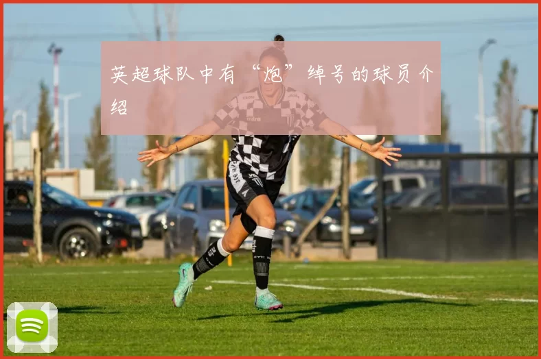 英超球队中有“炮”绰号的球员介绍