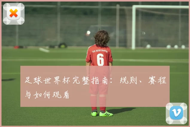足球世界杯完整指南：规则、赛程与如何观看