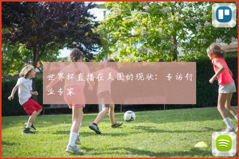 世界杯直播在美国的现状:专访行业专家