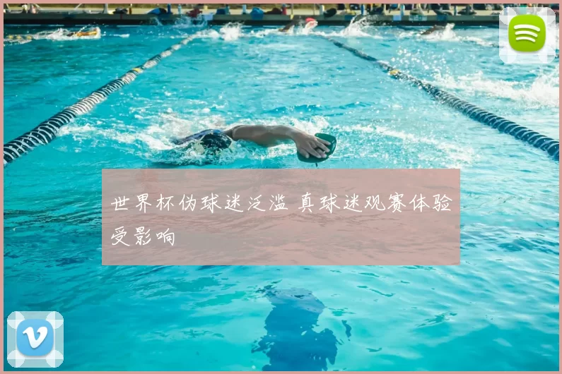 世界杯伪球迷泛滥 真球迷观赛体验受影响