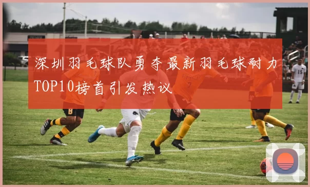 深圳羽毛球队勇夺最新羽毛球耐力TOP10榜首引发热议