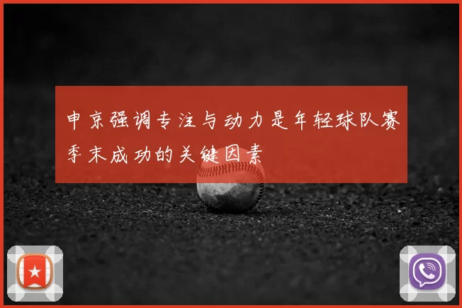 申京强调专注与动力是年轻球队赛季末成功的关键因素