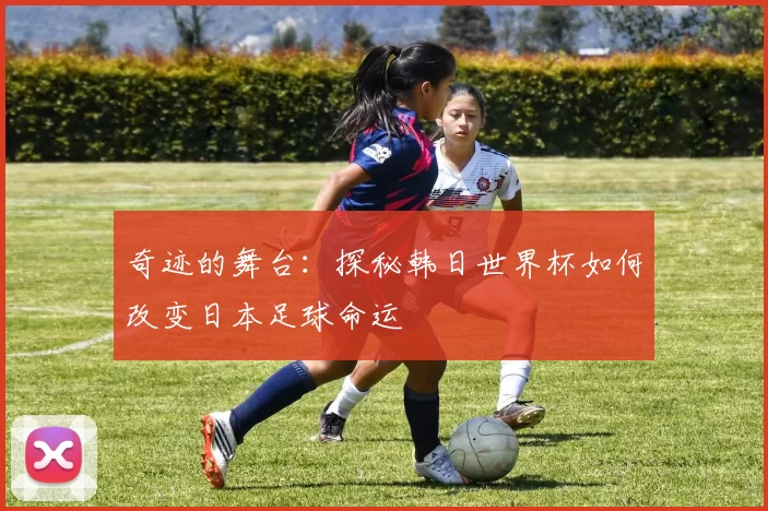 奇迹的舞台：探秘韩日世界杯如何改变日本足球命运