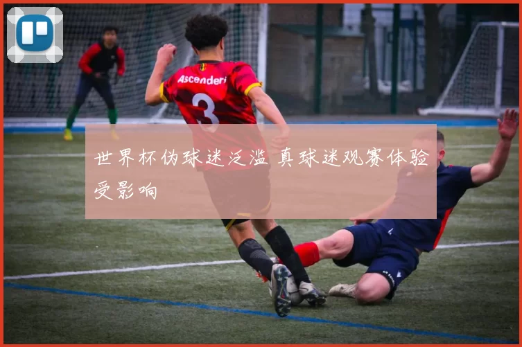 世界杯伪球迷泛滥 真球迷观赛体验受影响