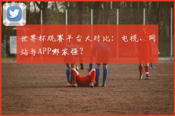 世界杯观赛平台大对比：电视、网站与APP哪家强？